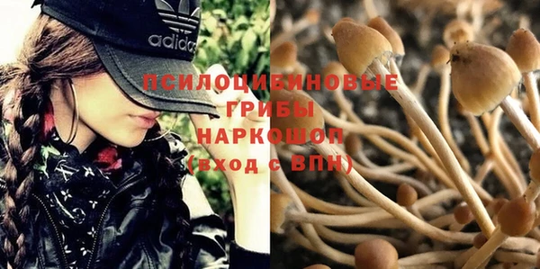 ECSTASY Верея